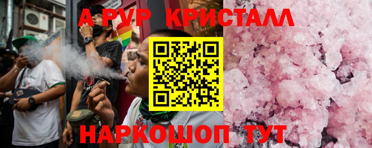 Alfa_PVP СК КРИС Новороссийск
