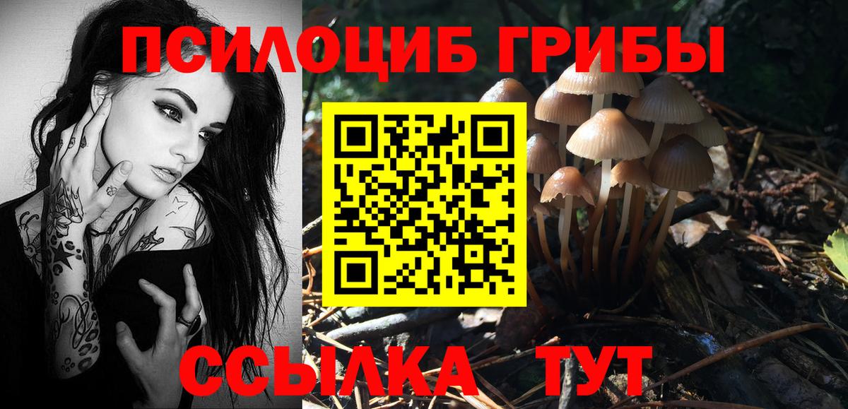 Галлюциногенные грибы Cubensis Новороссийск