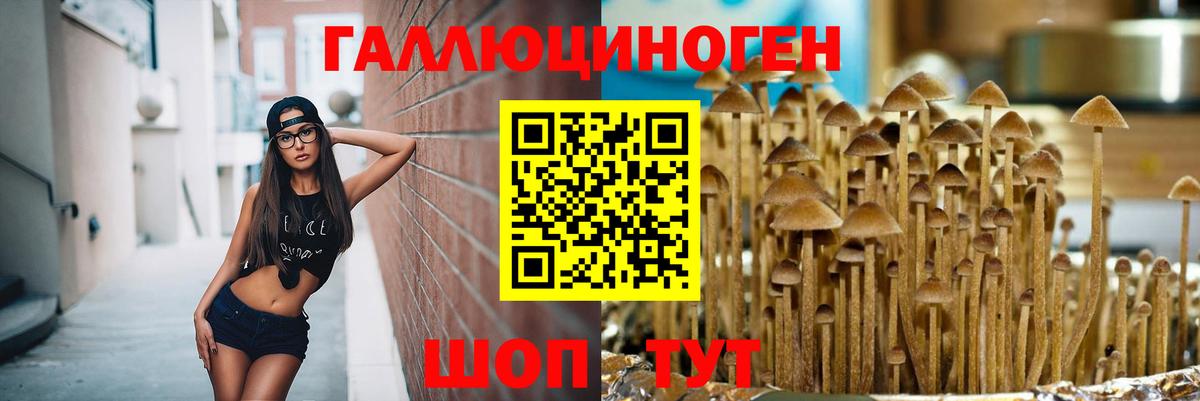 Новороссийск  Галлюциногенные грибы Magic Shrooms  Вход с VPN  Псилоцибиновые грибы Psilocybe 